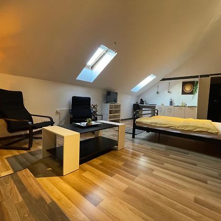 Savoya Nr3 Studio Old City Center Self Check-In Тімішоара Екстер'єр фото