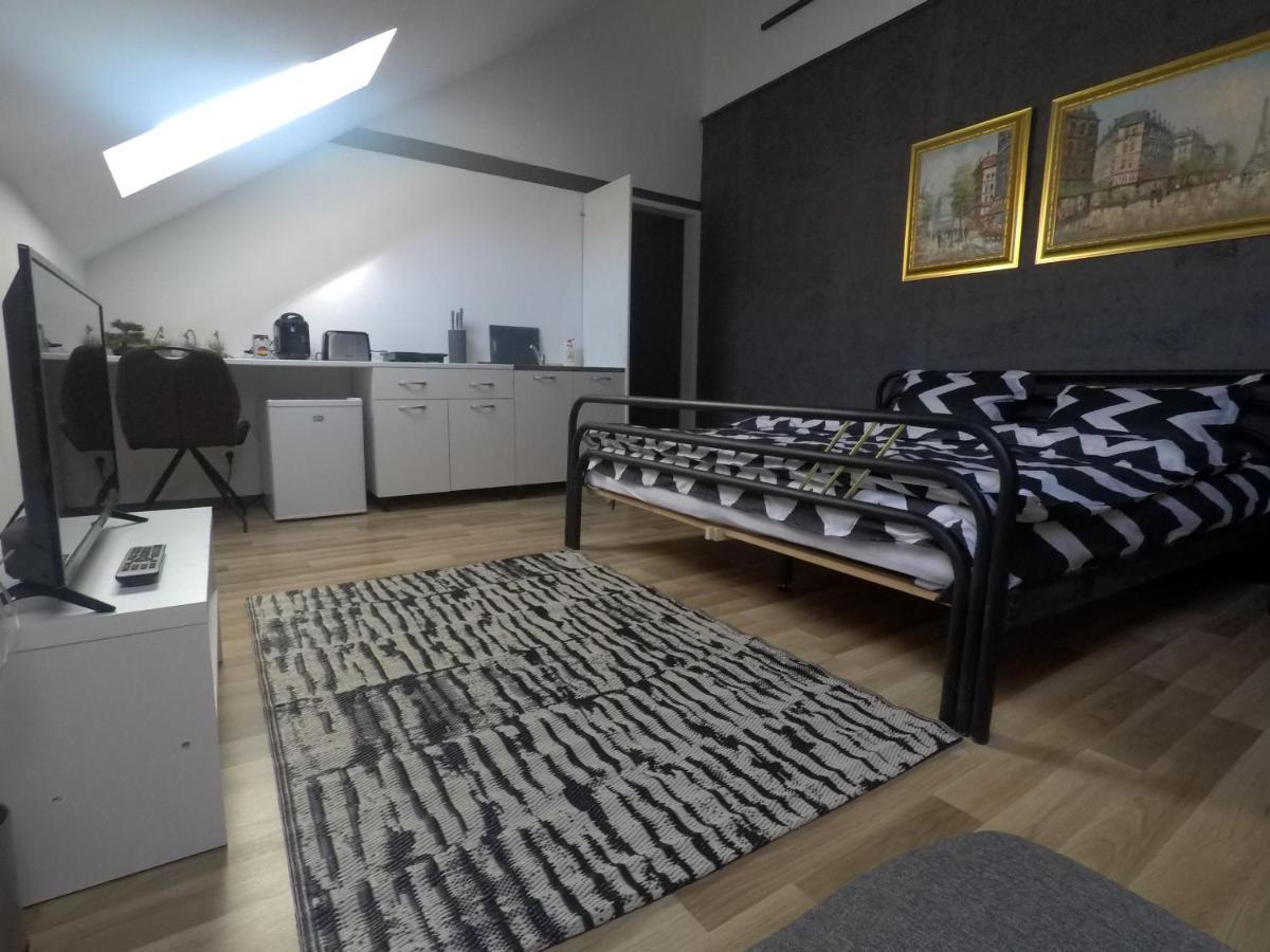 Savoya Nr3 Studio Old City Center Self Check-In Тімішоара Екстер'єр фото