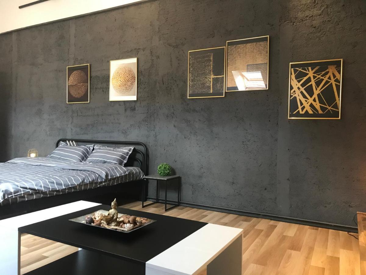 Savoya Nr3 Studio Old City Center Self Check-In Тімішоара Екстер'єр фото