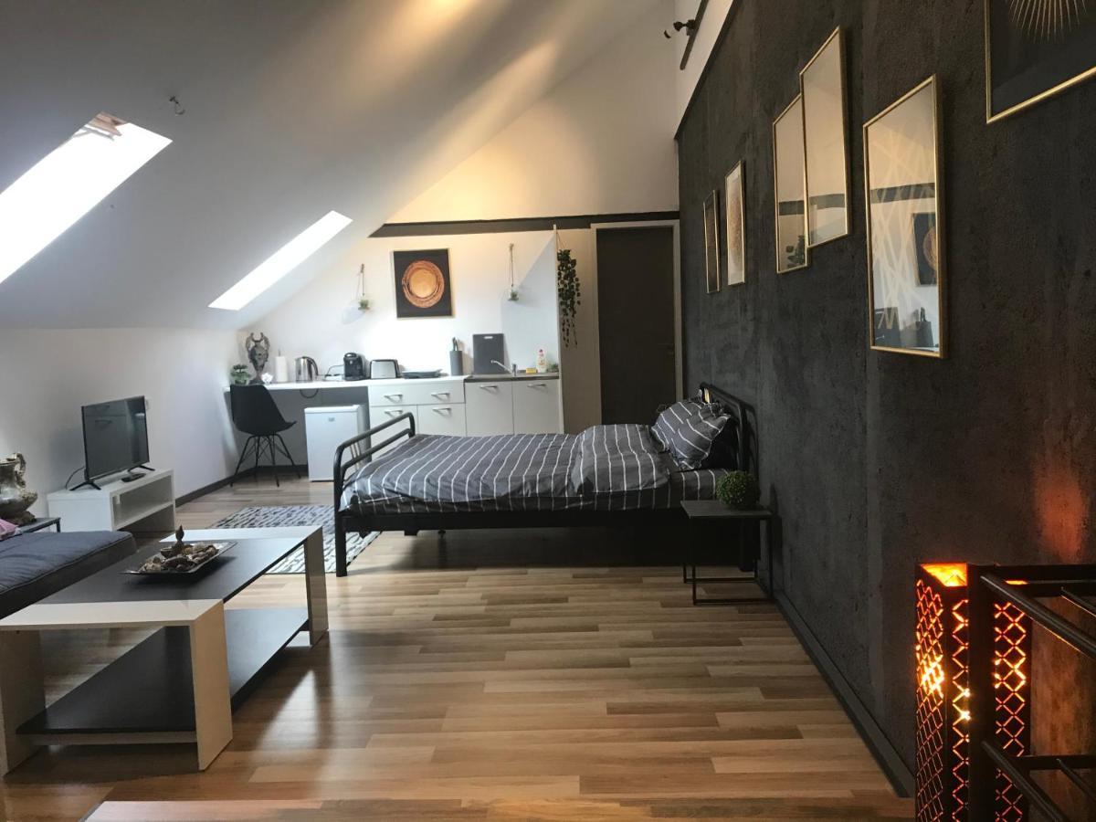 Savoya Nr3 Studio Old City Center Self Check-In Тімішоара Екстер'єр фото