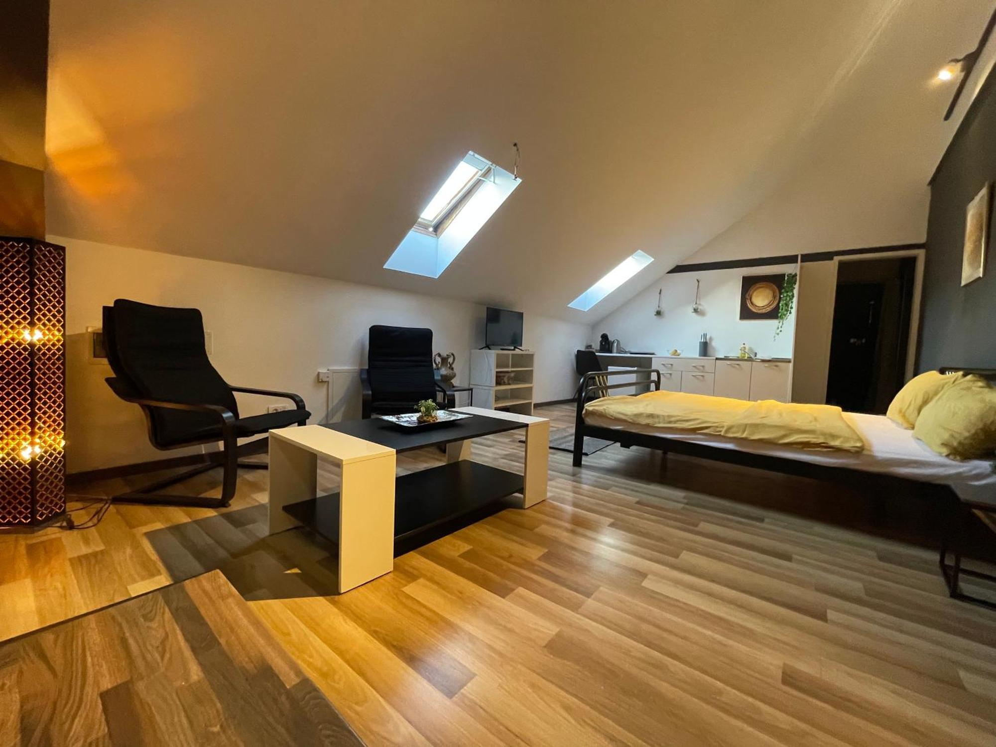 Savoya Nr3 Studio Old City Center Self Check-In Тімішоара Екстер'єр фото